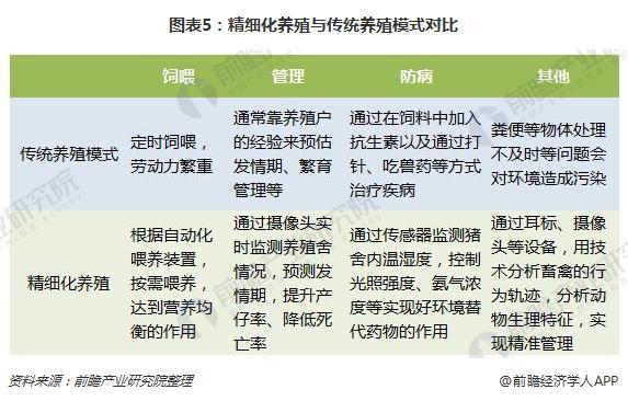 新澳資料免費大全與結(jié)構(gòu)化評估推進(jìn)，探索未來，共創(chuàng)輝煌，優(yōu)選方案解析說明_MR89.31.56