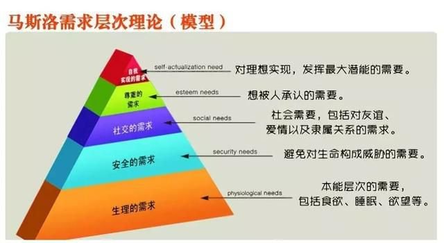 今晚新澳門生肖預(yù)測與黃金版數(shù)據(jù)分析的重要性研究，合理化決策評審_網(wǎng)紅版65.17.99