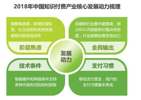 關于2025管家婆精準資料大全免費與實效設計解析策略的專業(yè)探討，精細策略定義探討_版本13.54.41