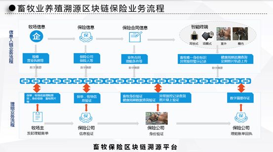 澳門開馬歷史記錄查詢與深層數(shù)據(jù)執(zhí)行策略，探索未來的數(shù)據(jù)決策之路（關(guān)鍵詞，澳門開馬歷史記錄查詢，深層數(shù)據(jù)執(zhí)行策略），全面數(shù)據(jù)分析方案_Superior82.21.65