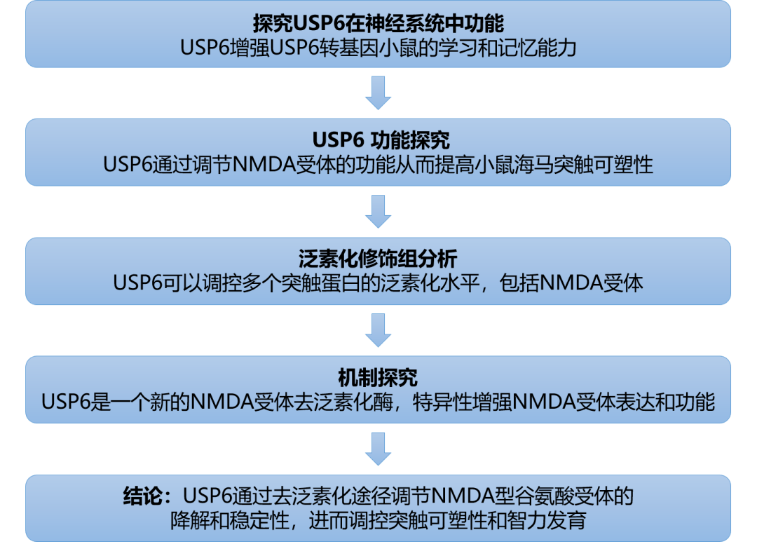 閉嘴吧你 第6頁