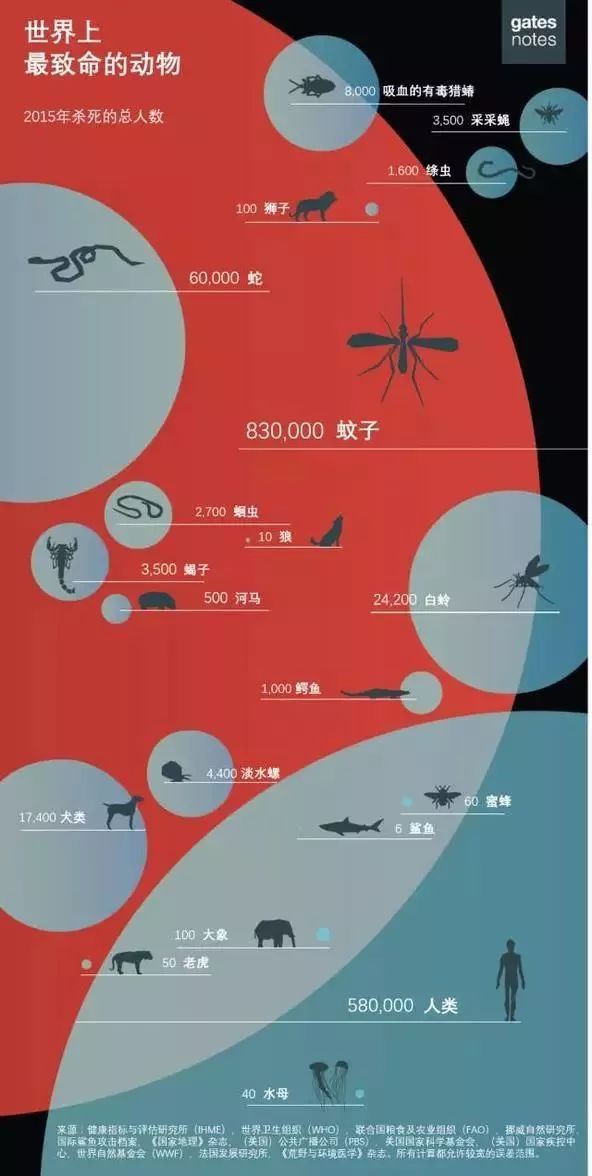 十二生肖沒有牙的動物，深度解析與實時說明，資源整合策略_eShop97.97.24