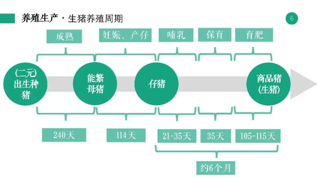 澳門資料小魚兒二站玄機(jī)免費(fèi)網(wǎng)站，探索與體驗(yàn)，預(yù)測(cè)說(shuō)明解析_專屬款96.59.63