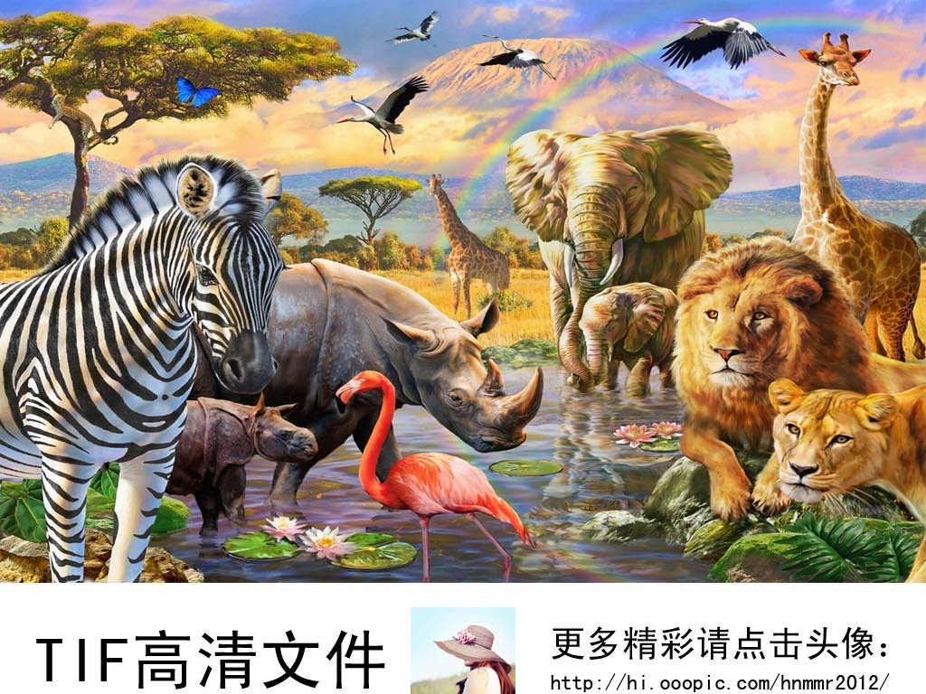 十二生肖沒有牙的動物解析——高效說明解析_紙版61.68.45，實地評估策略數據_挑戰(zhàn)版92.29.11