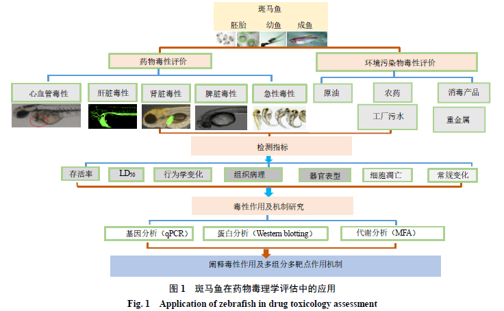 第101頁(yè)