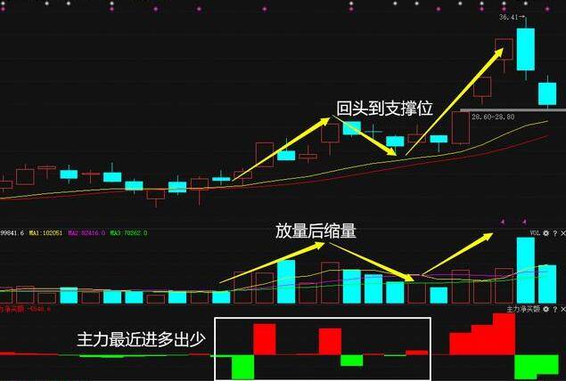 2025年3月 第74頁